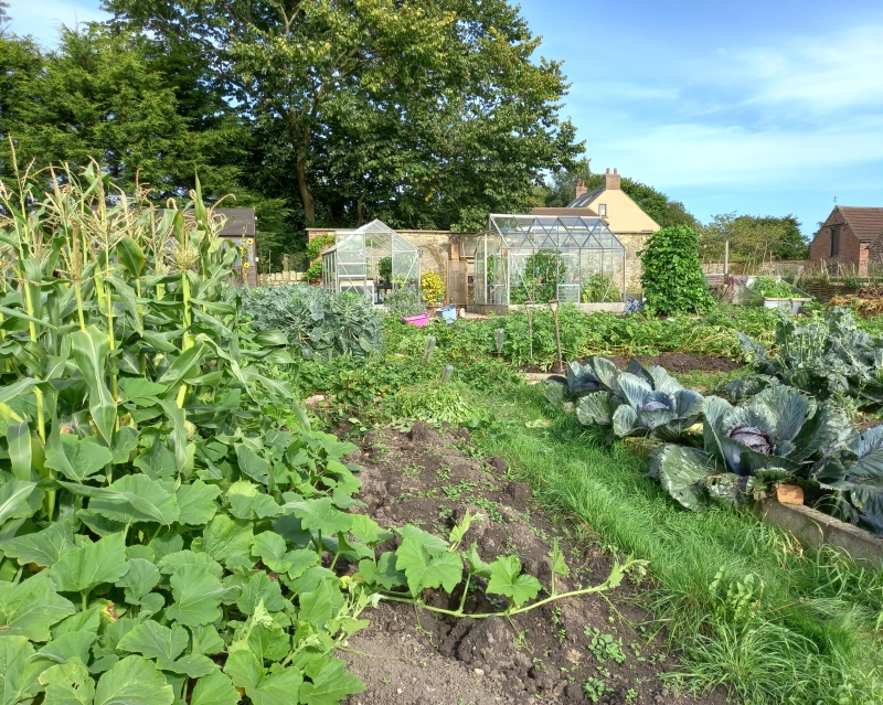 Orchard Cottage